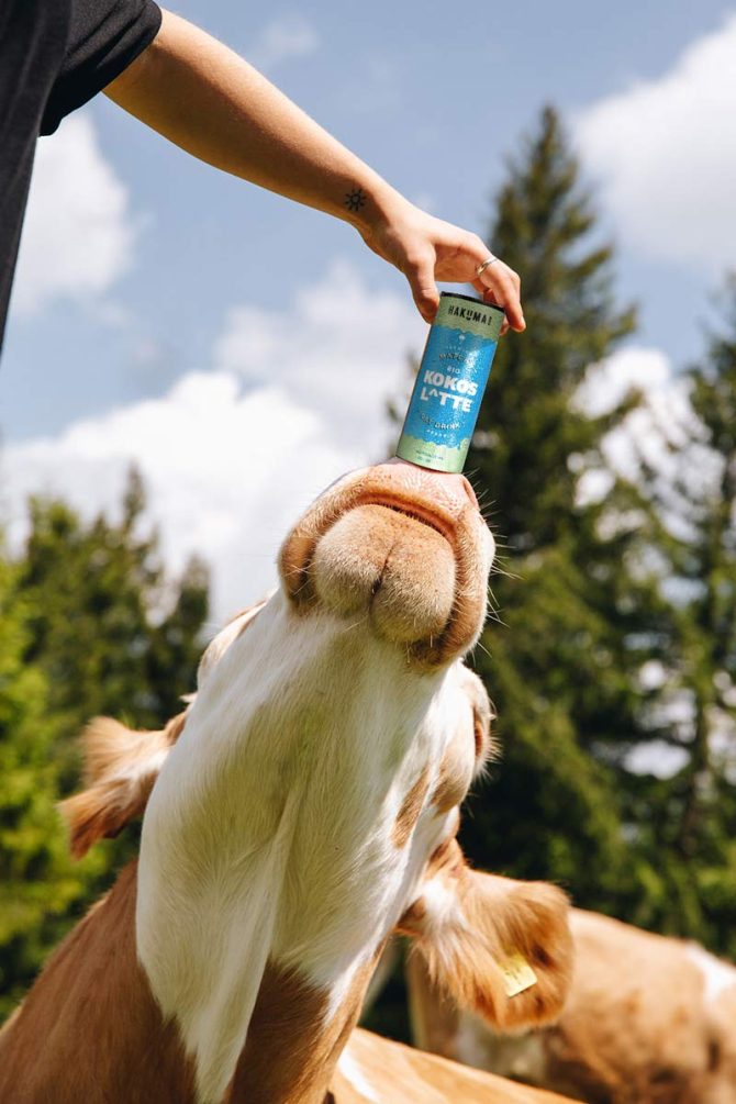 Vegan ist die neue Normalität, kein Trend.